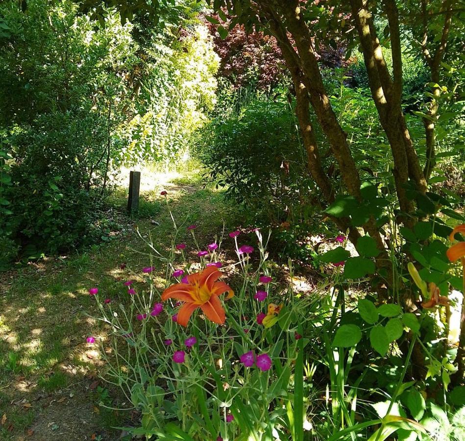 La Chevallerie - Tranquil Oasis Isigny-le-Buat Extérieur photo